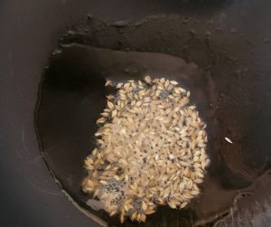 Add cumin seeds- spiced pumpkin soup with coconut milk and spinach- Being Rubitah- family recipes